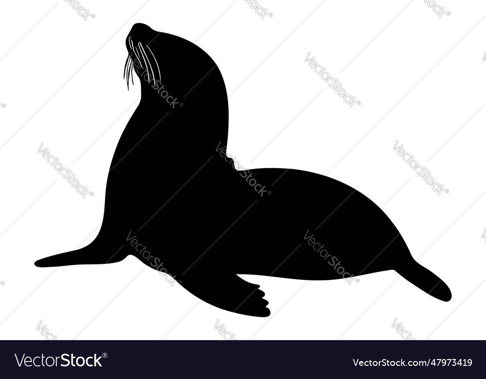 Sea lion silhouette isolated Royalty Free Vector Image