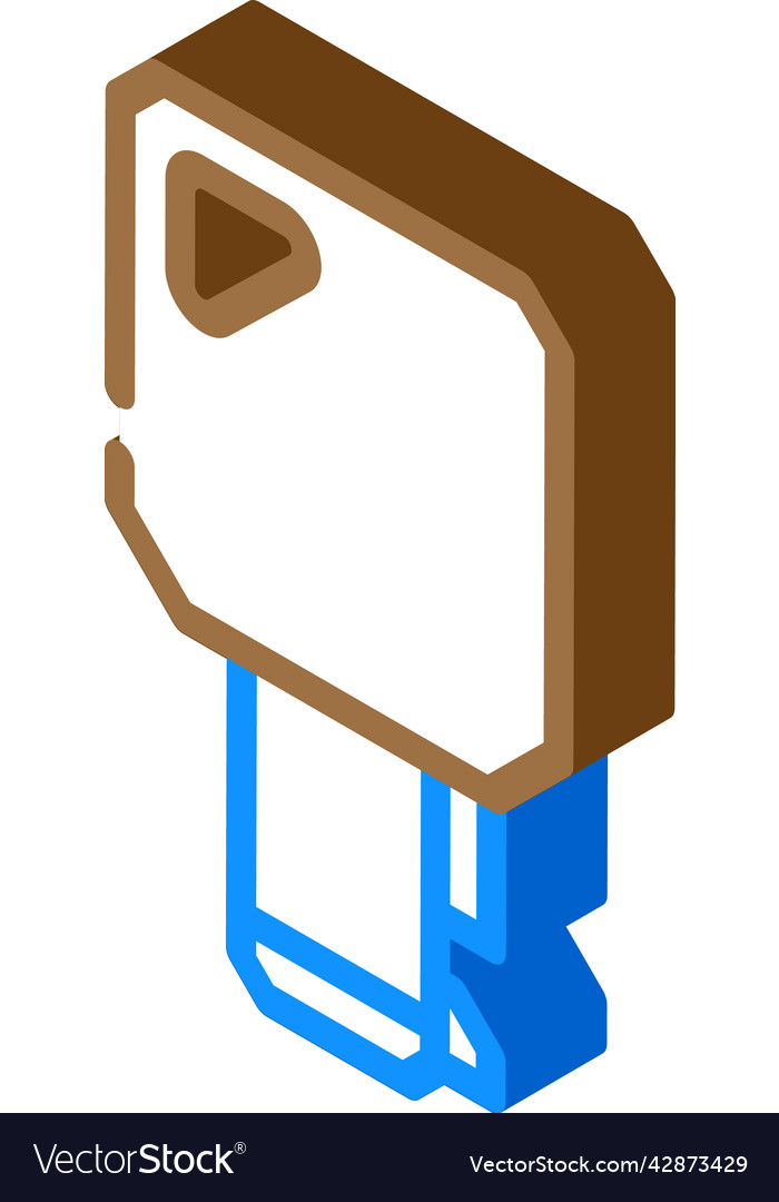 Key for twist lock isometric icon