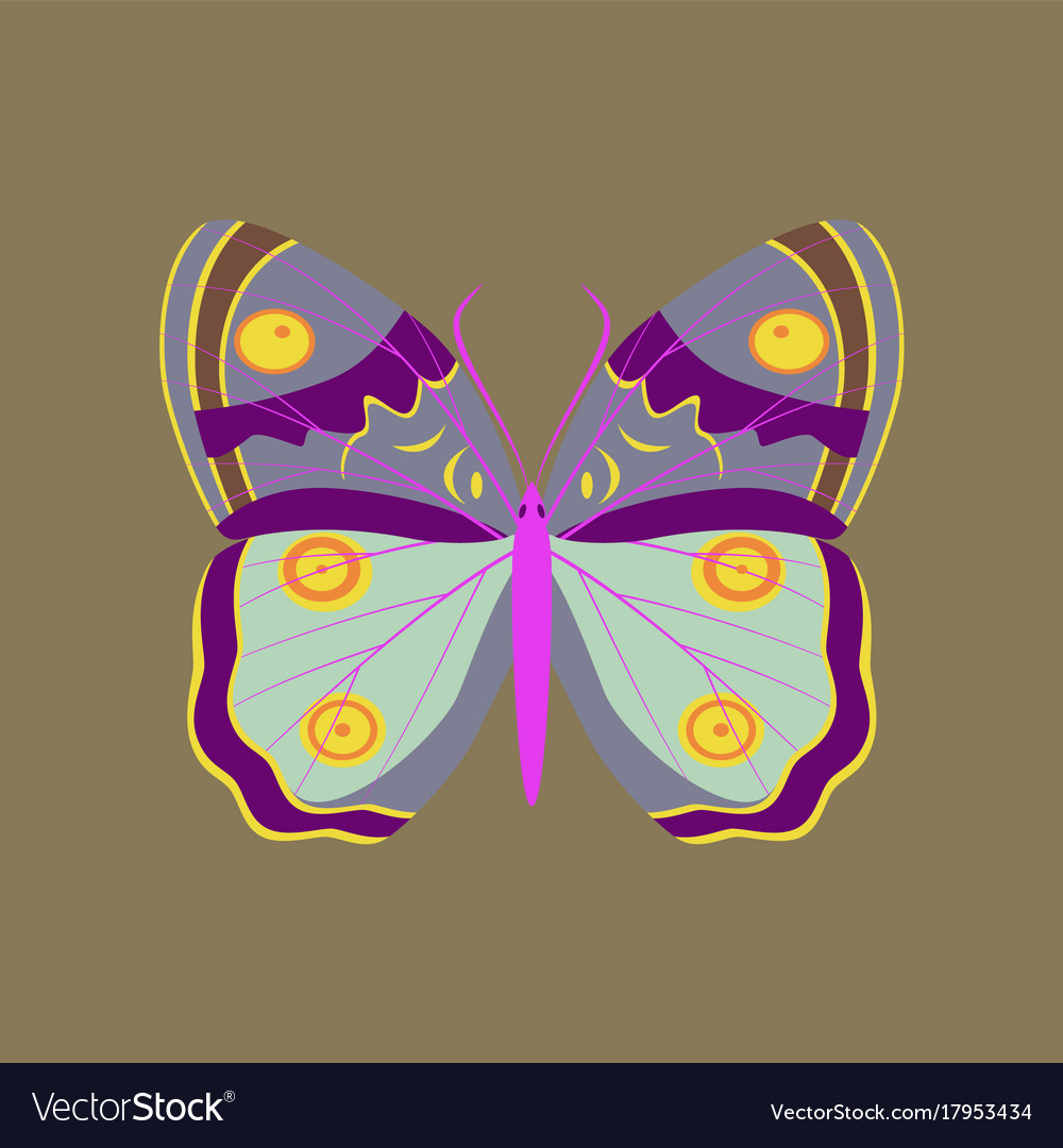 Colorful icon of butterfly isolated on brown