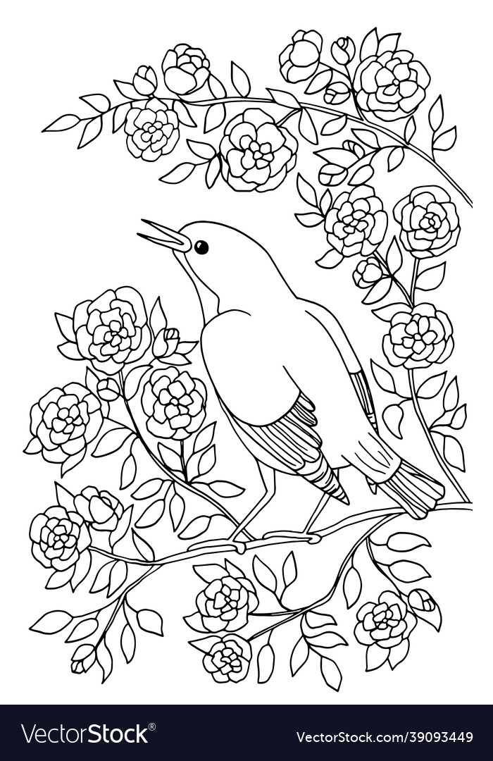 Bird is sitting in the flowering branches Vector Image