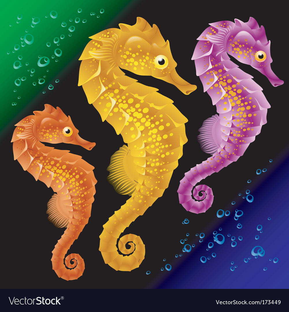 Download Seahorses Royalty Free Vector Image - VectorStock