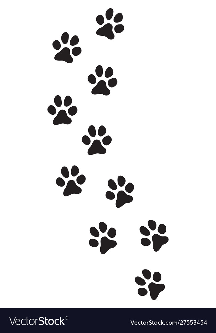 What Does A Dog Footprint Look Like