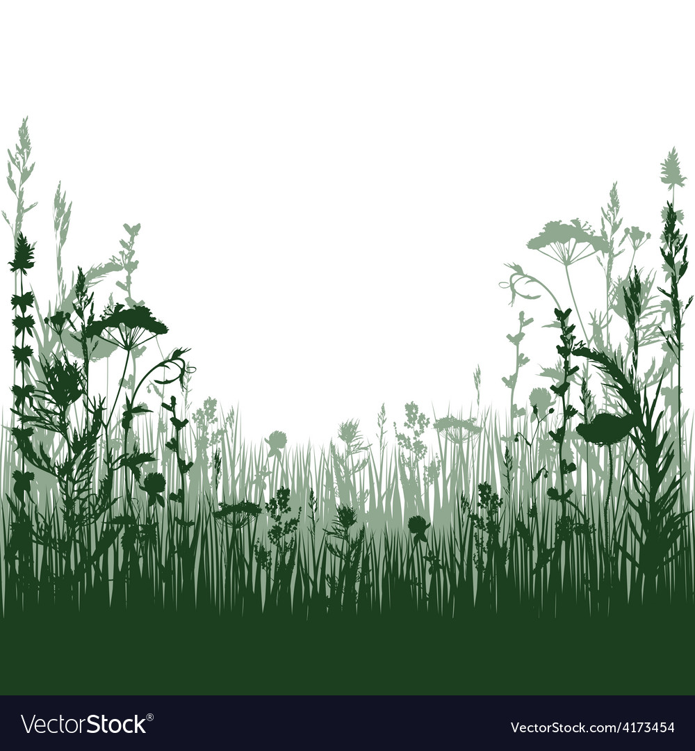 Meadow Royalty Free Vector Image - VectorStock