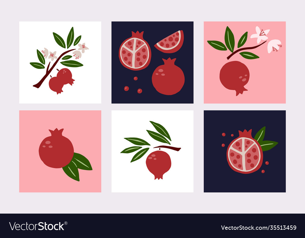 Pomegranate poster set exotic tropical red fresh