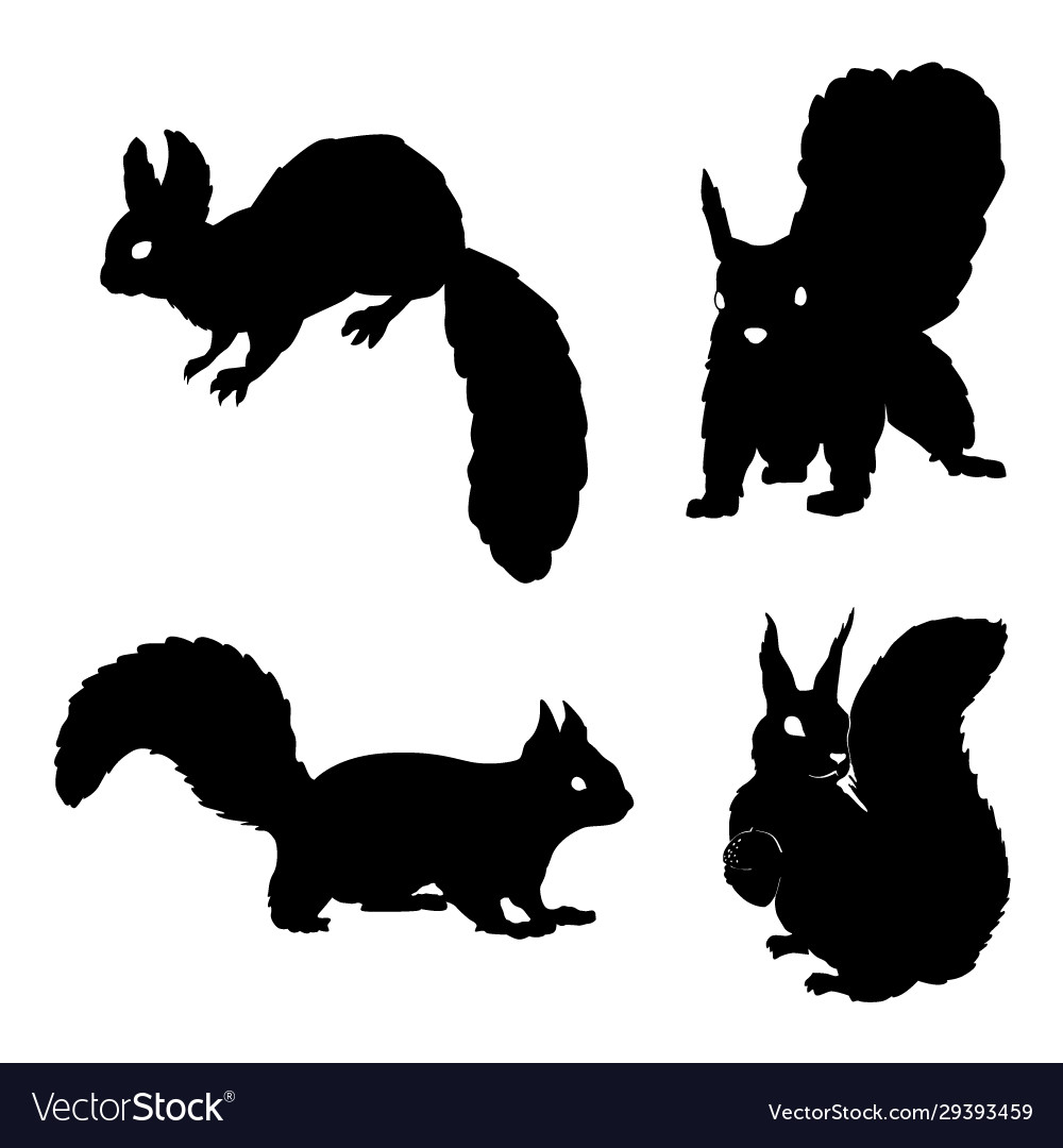 Squirrel Royalty Free Vector Image - VectorStock