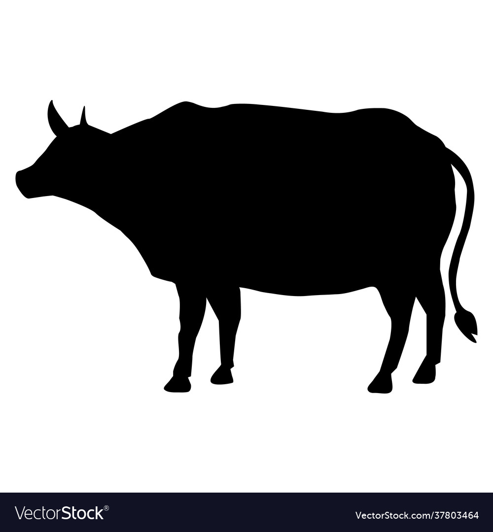 Cow icon on white background silhouette