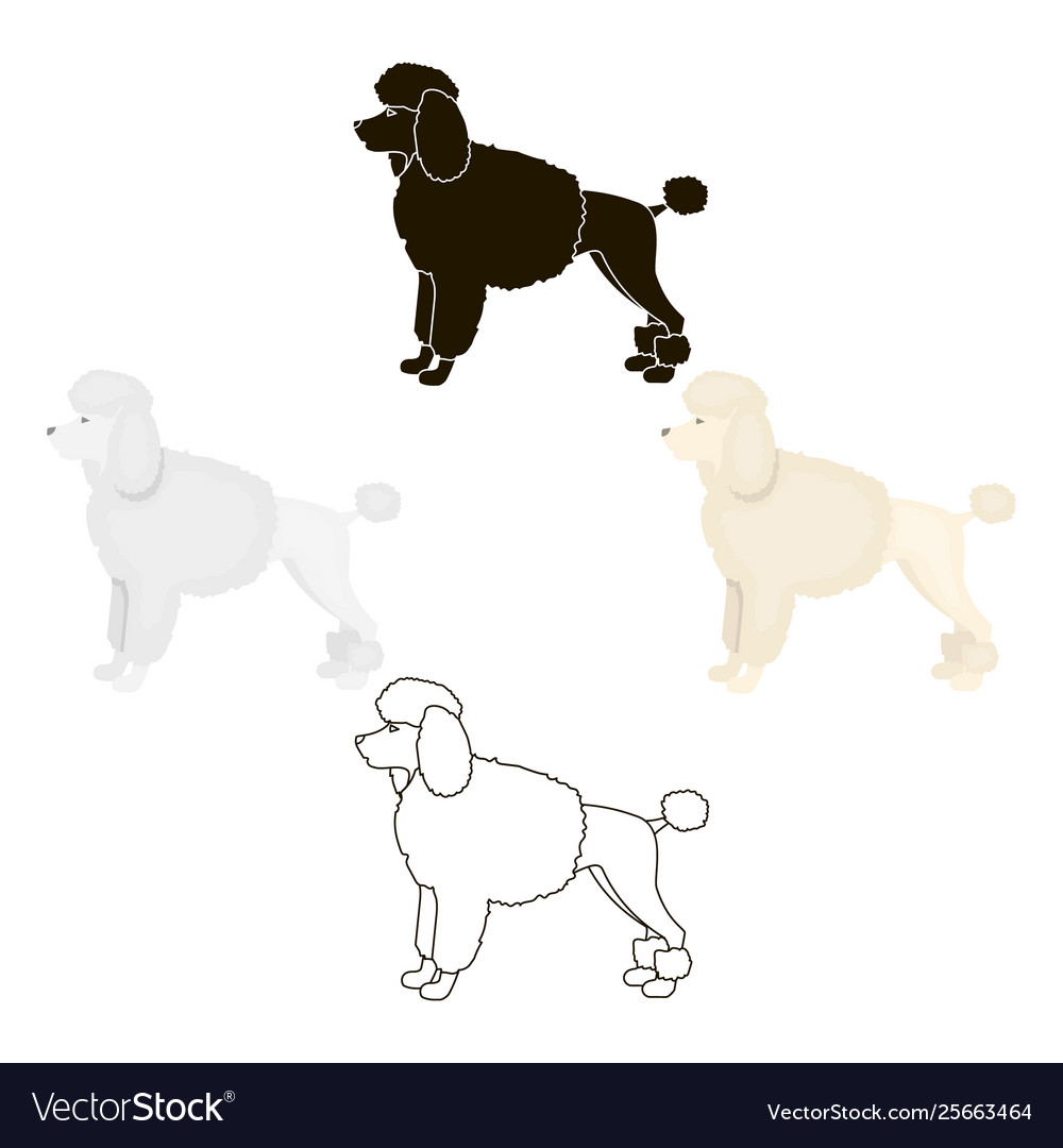 Poodle icon in cartoonblack style for web