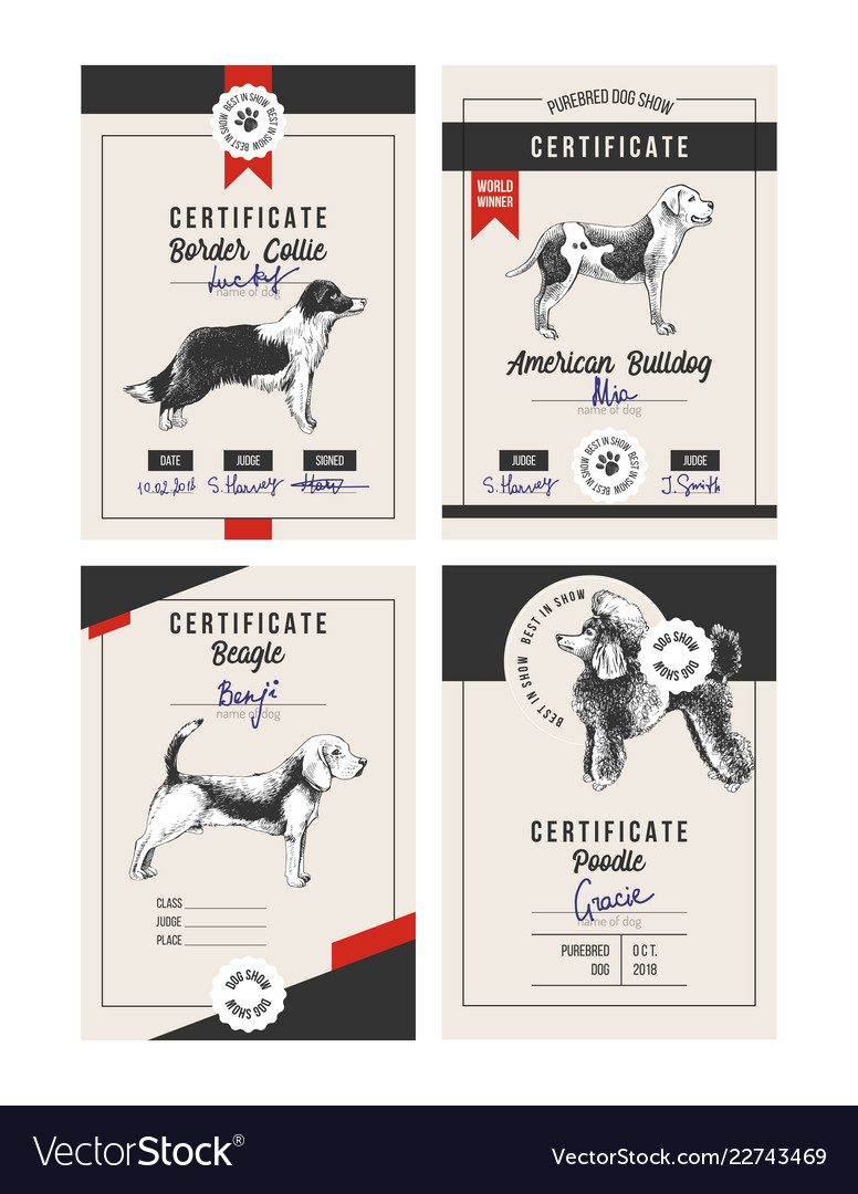 4 dog show certificates Royalty Free Vector Image