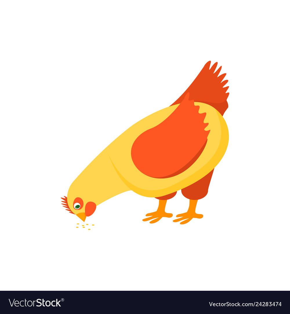 Курица клюет зерно рисунок