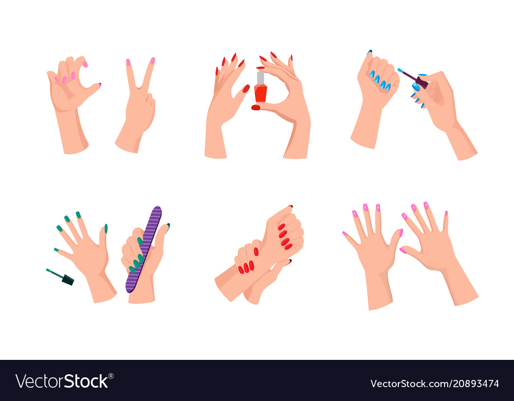 Female hands with neat modern bright manicure Vector Image