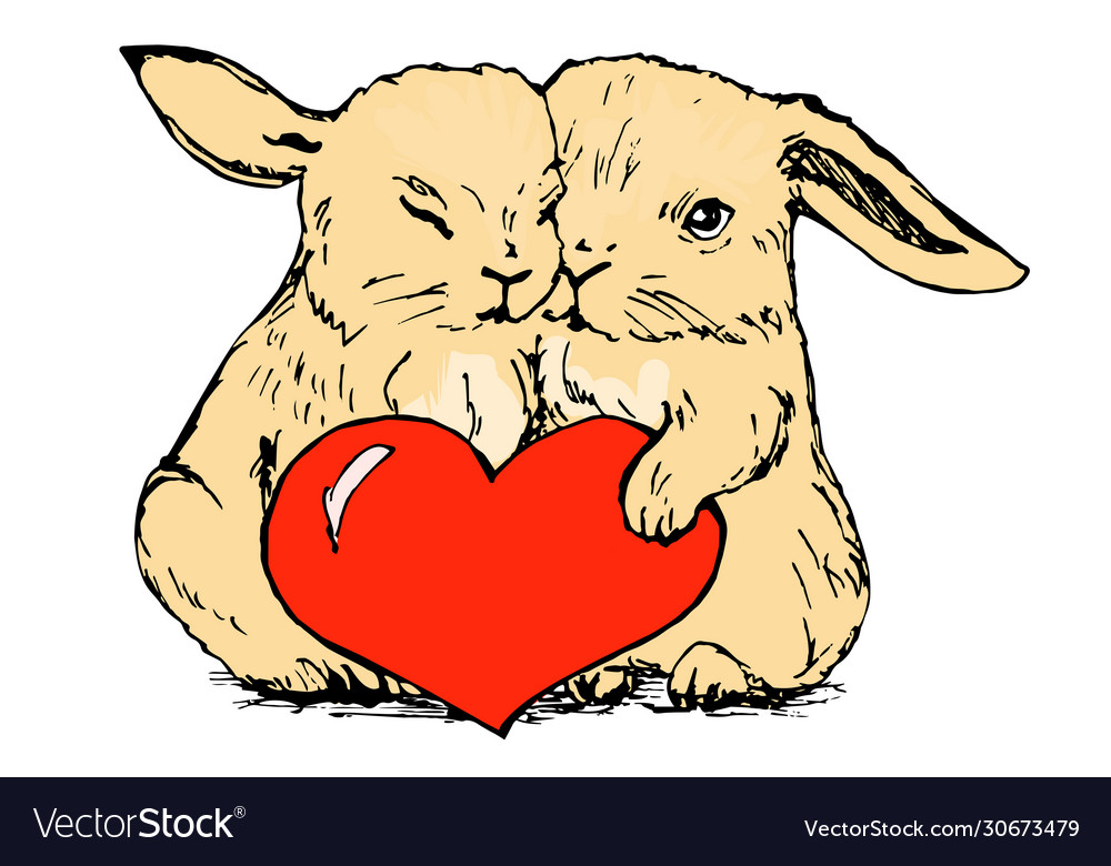 Bunny in love couple bunnies with red heart Vector Image