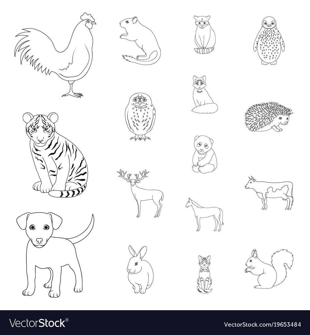 Realistic animals outline icons in set collection Vector Image