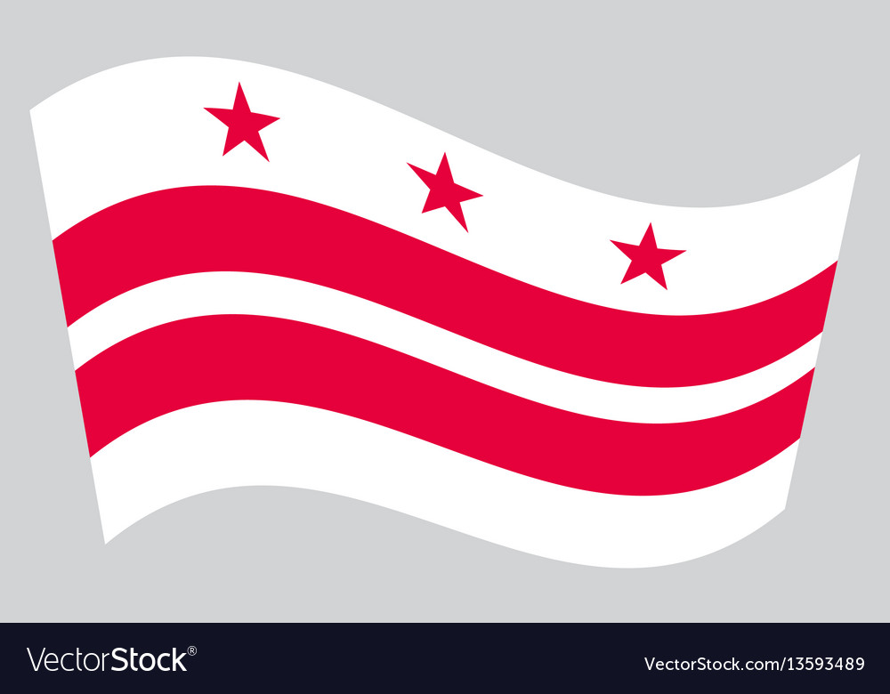 Flag of washington dc waving on gray background Vector Image