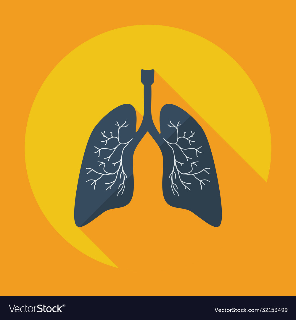 Flat modern design with shadow icons lungs Vector Image