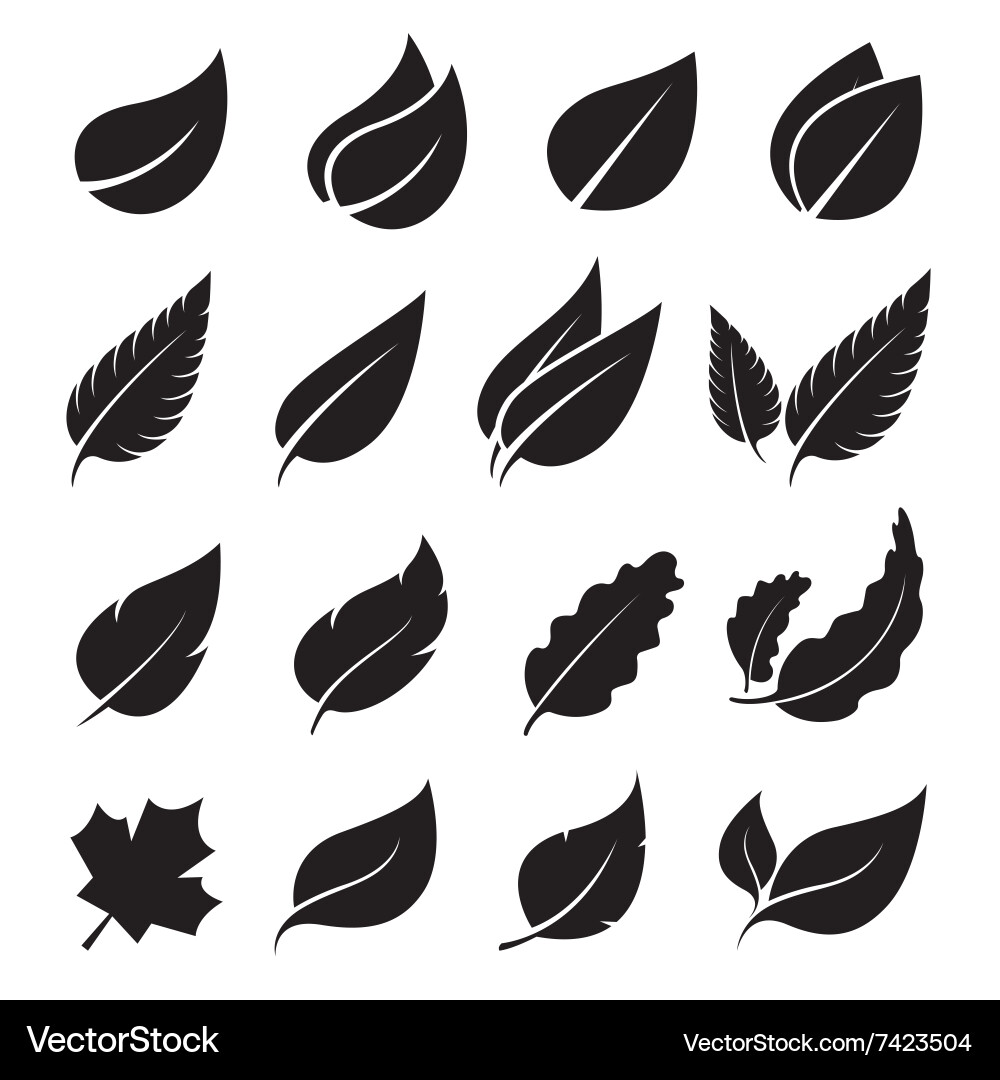 Leaves Royalty Free Vector Image - VectorStock
