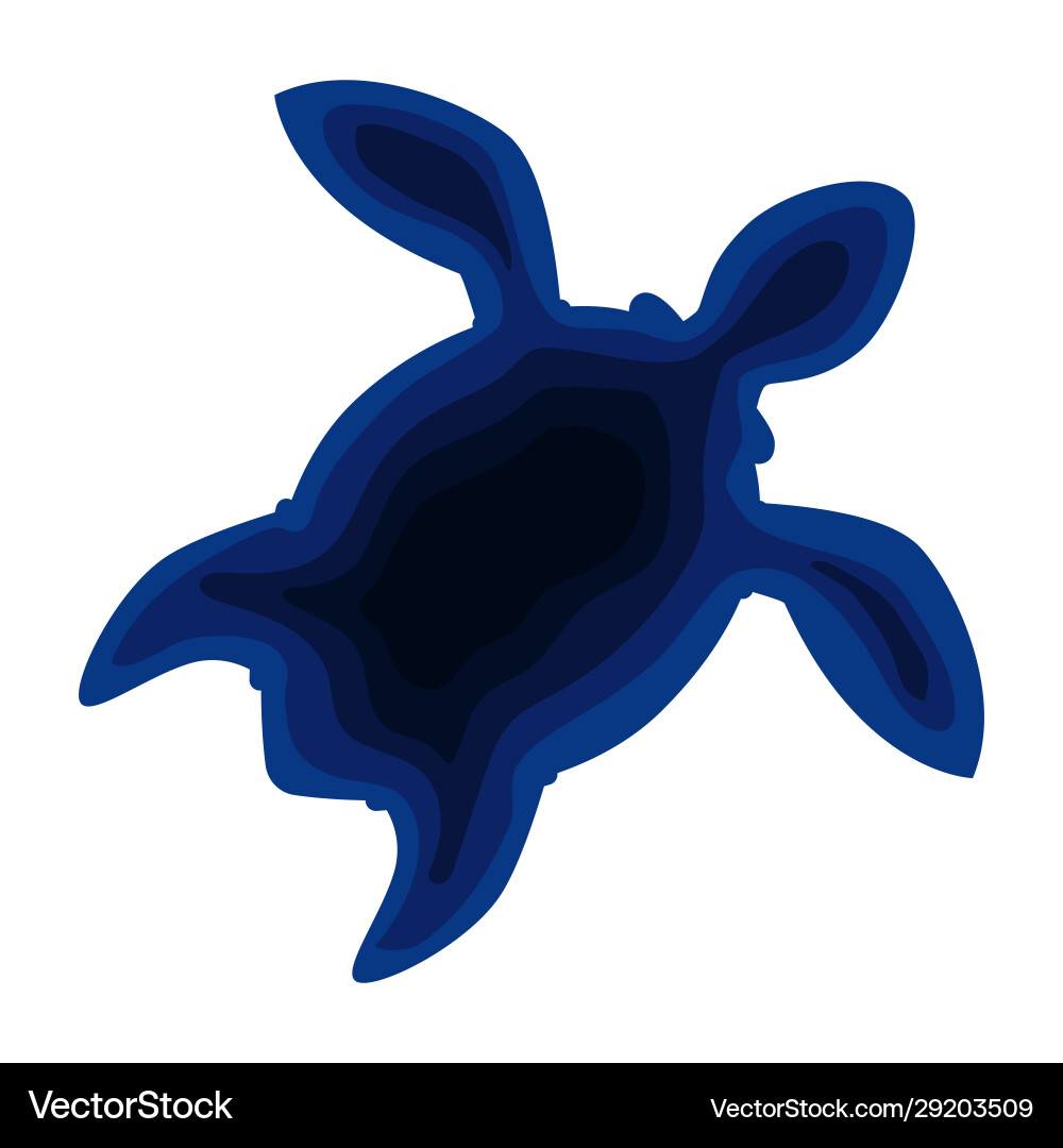 Blue turtle Royalty Free Vector Image - VectorStock