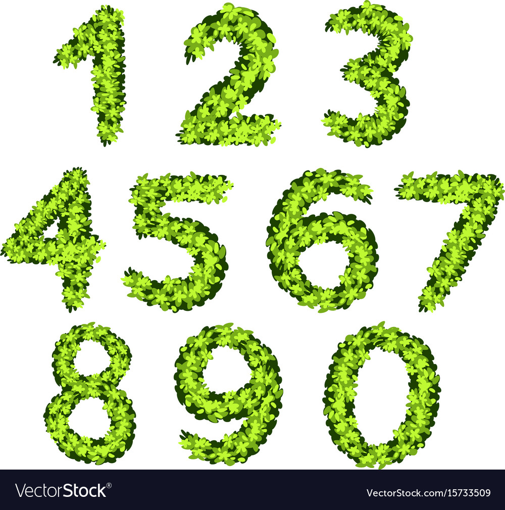 Font design for numbers with grass texture Vector Image