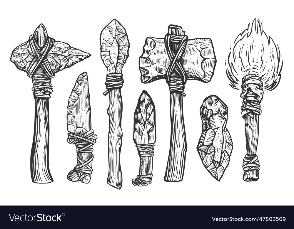 Prehistoric labor tools and equipment of a Vector Image