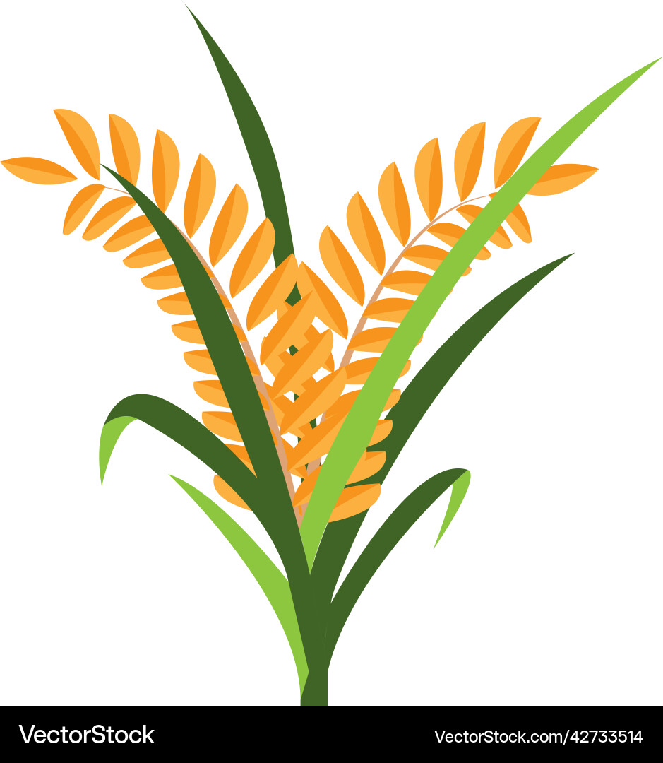 Paddy icon Royalty Free Vector Image - VectorStock