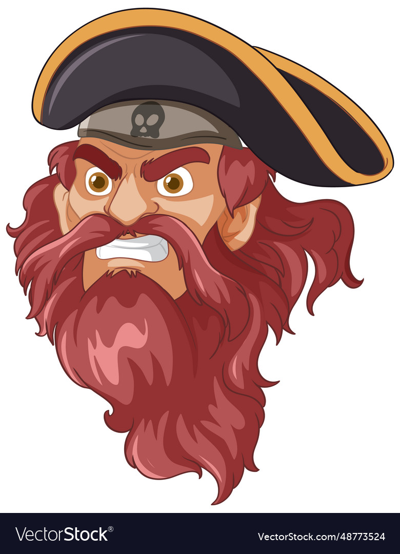 Furious pirate captain with a majestic long beard Vector Image