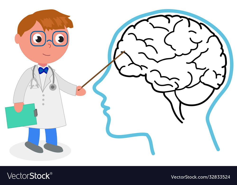 Human brain and doctor