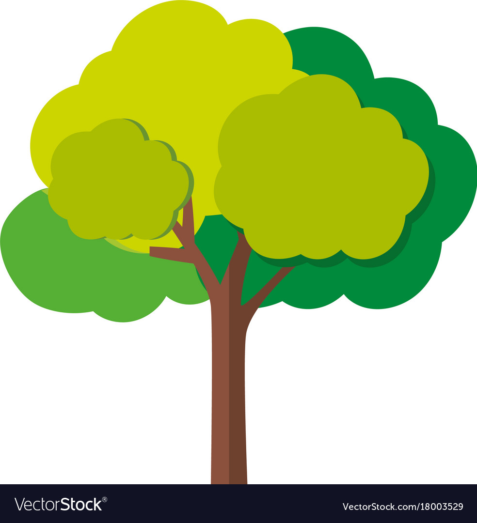 Green tree with branches Royalty Free Vector Image