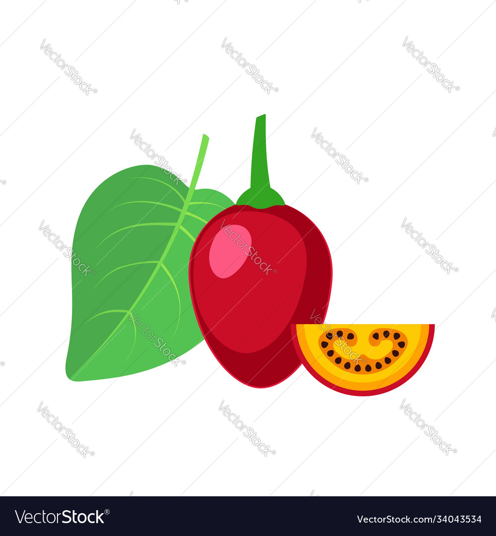 Tamarillo whole fruit with slice flat design