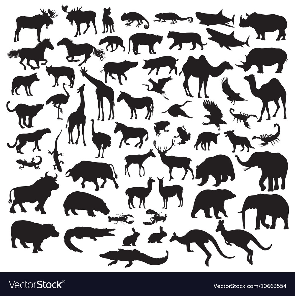 Wildlife animal silhouettes Royalty Free Vector Image