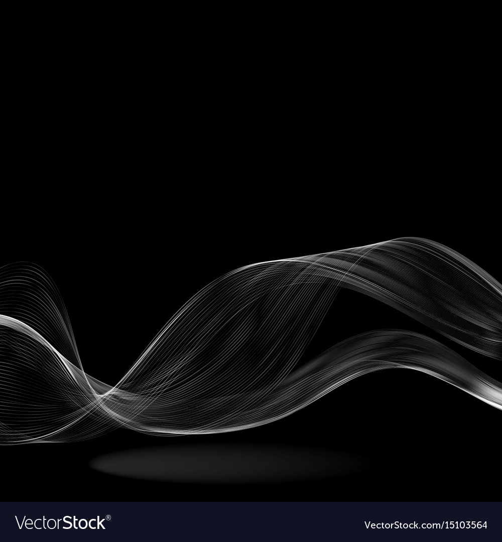 Abstract white wave on a black background Vector Image