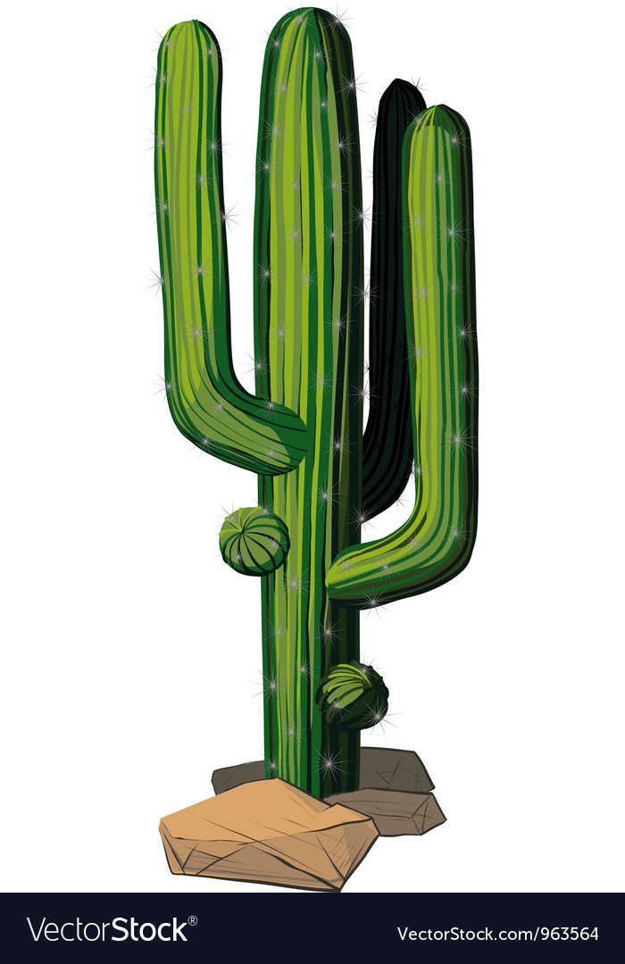 Cartoon Cactus Vector PNG Images, Cactus Green Cartoon Cactus