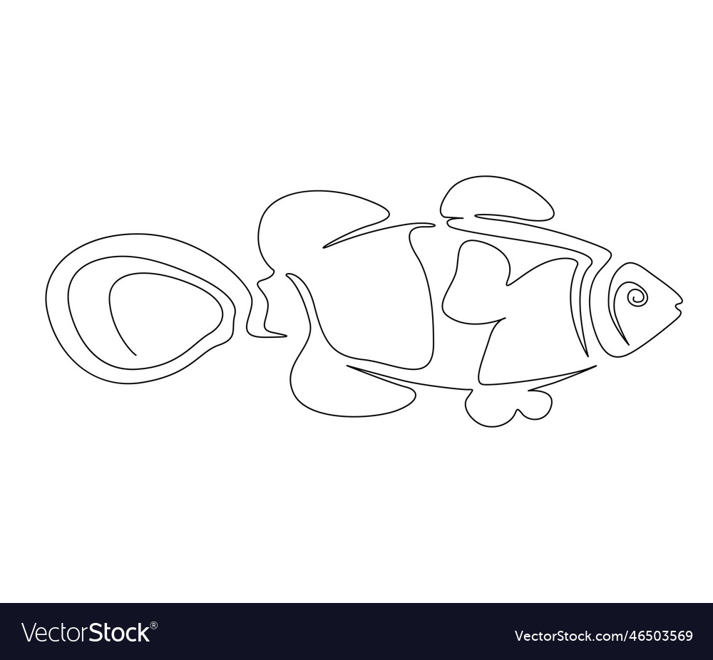 Continuous one line drawing of fish simple clown Vector Image