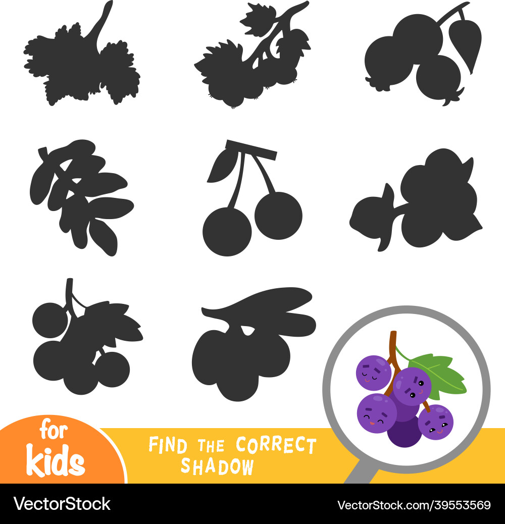 Find the correct shadow game for children grapes Vector Image