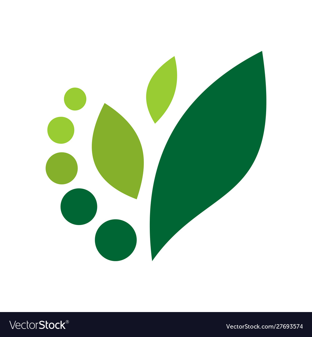 Abstract leaf nature green concept logo icon