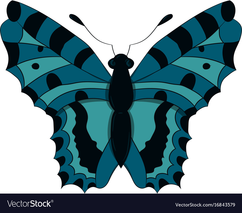 Blue Butterfly Drawing By Royalty Free Vector Image