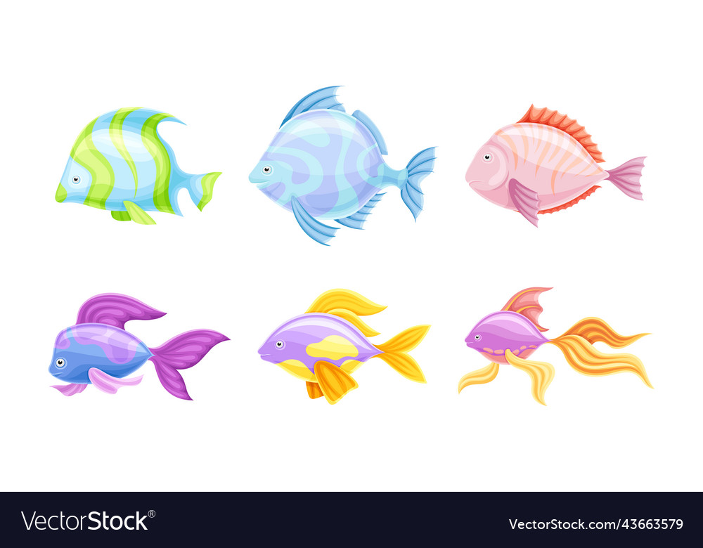 Colorful fish as aquatic gill-bearing animal Vector Image