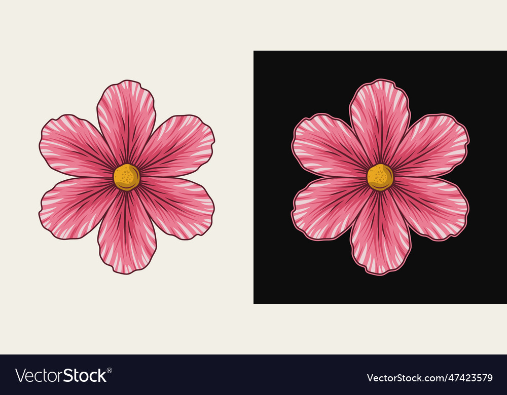 Colorful pink flowers with 6 petals Royalty Free Vector