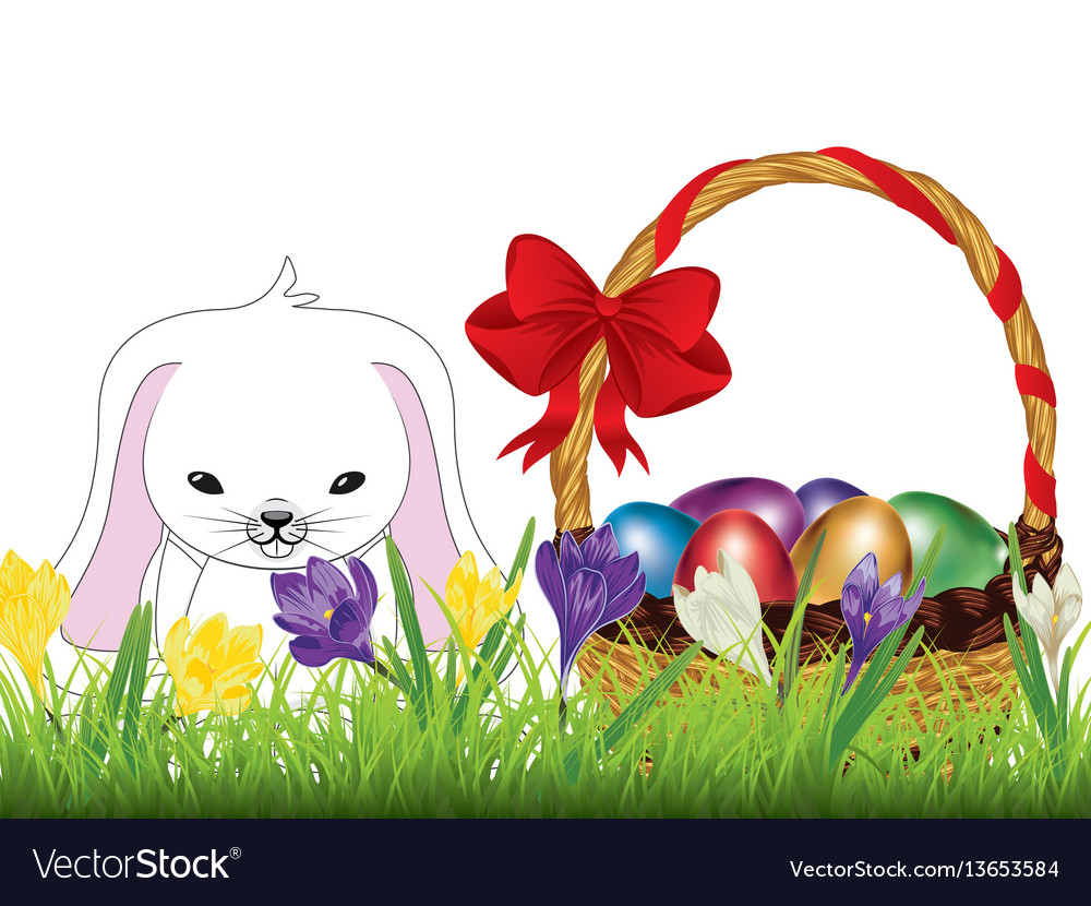 Crocus and easter rabbit Royalty Free Vector Image