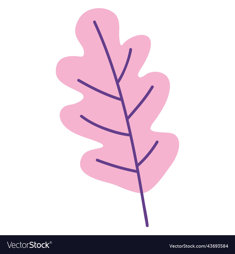 Pink leaf plant foliage Royalty Free Vector Image