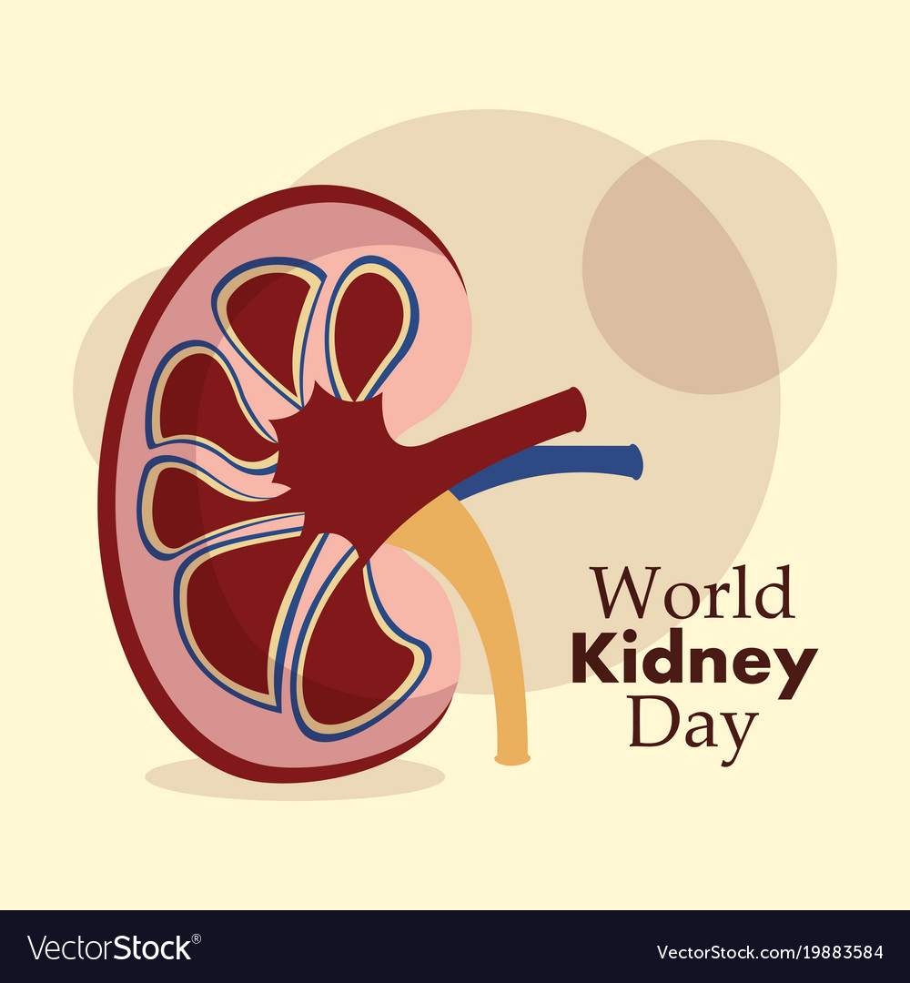 World kidney day greeting card healthy Royalty Free Vector