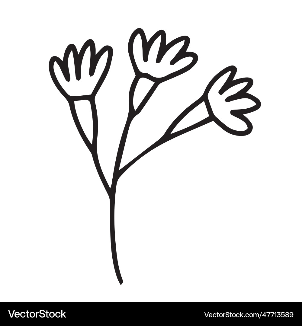 Flower doodle Royalty Free Vector Image - VectorStock