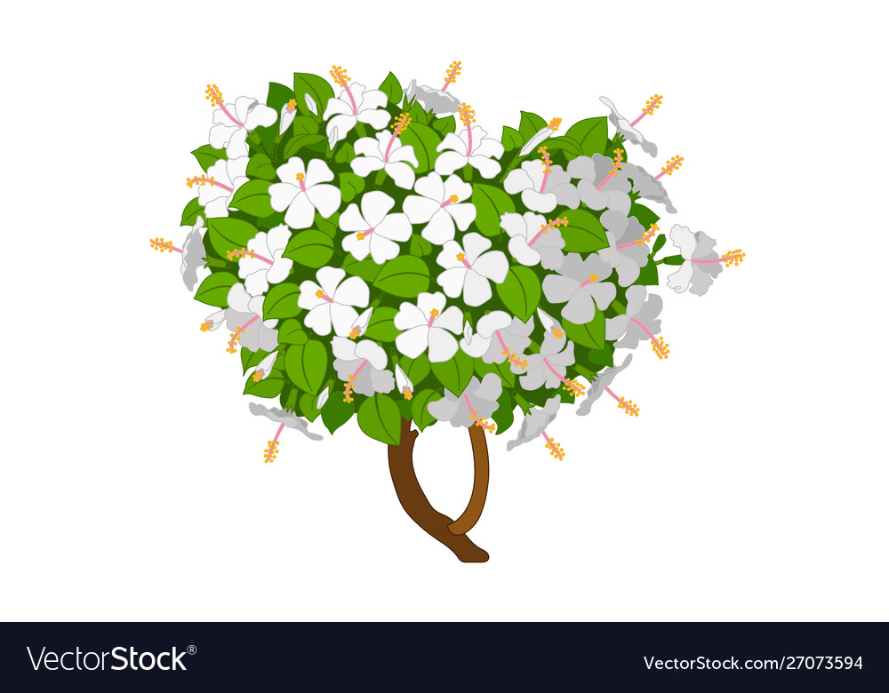 Hand drawn plant clipart