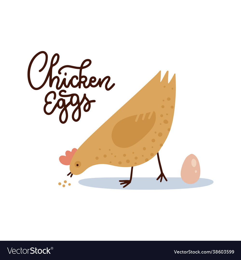 Chicken eggs banner template farm hen with egg