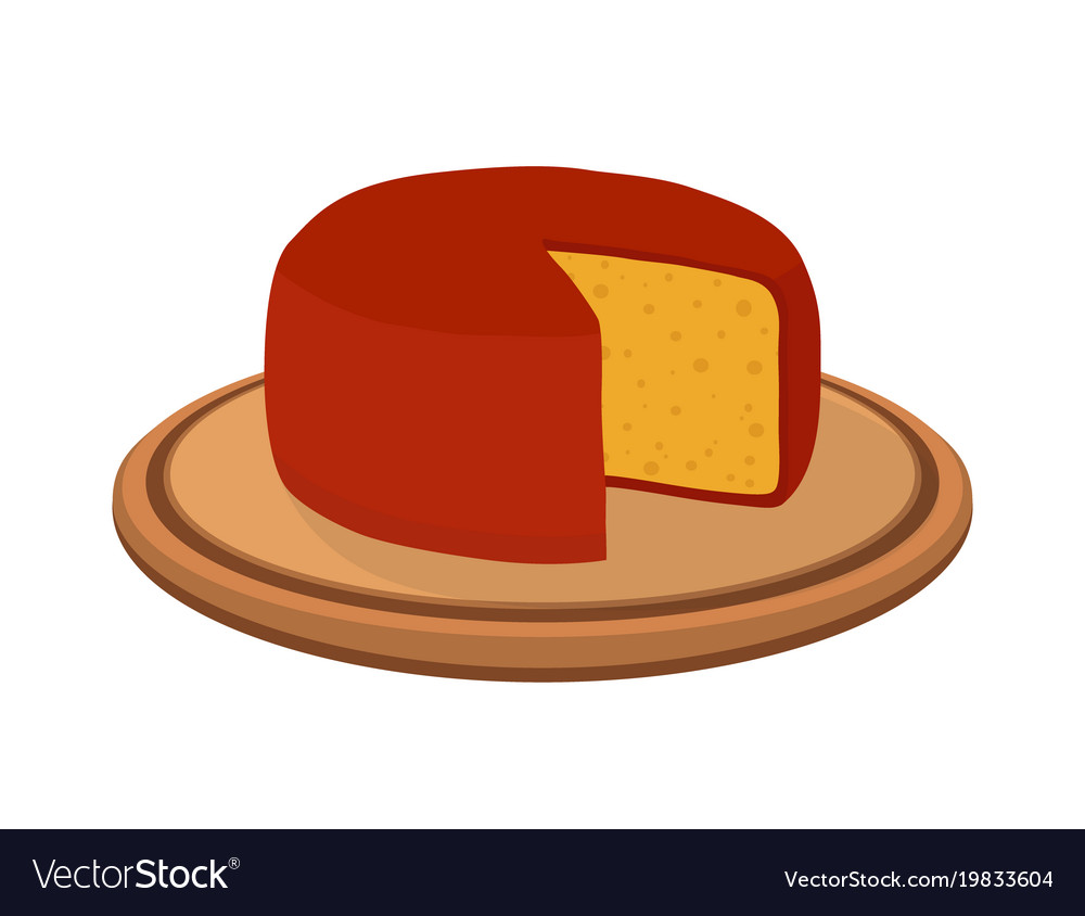 Gouda cheese on plate cartoon flat style