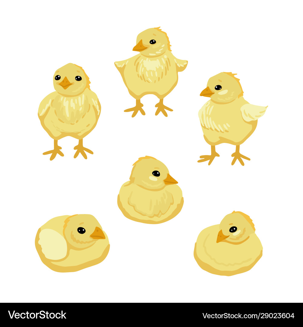 Set little chickens sleeping standing Royalty Free Vector
