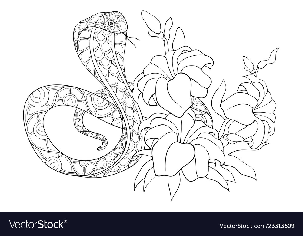 Adult coloring bookpage a cute snake image for Vector Image