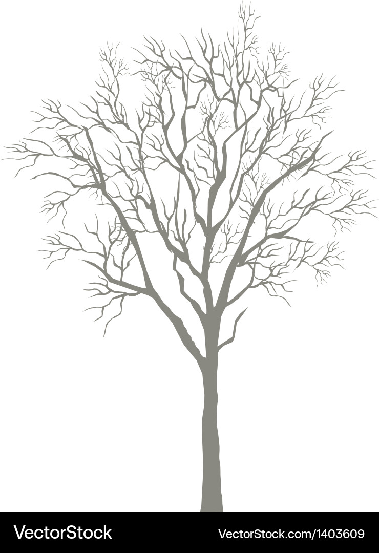 Icon tree Royalty Free Vector Image - VectorStock