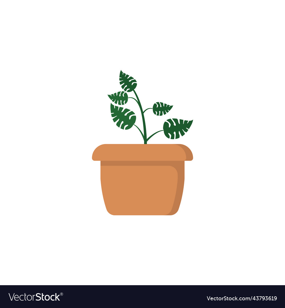Monstera icon design template vector image Monstera icon design template