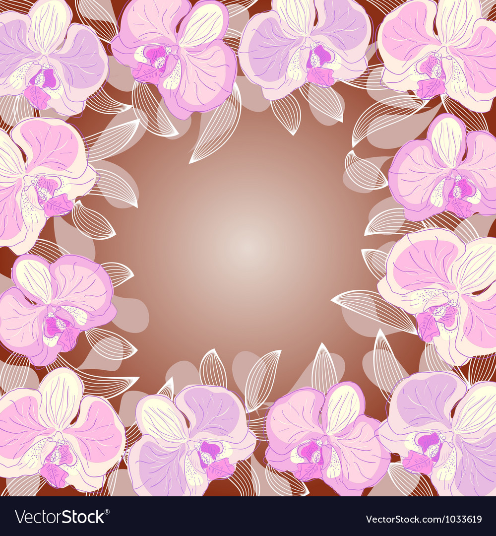 Orchid frame Royalty Free Vector Image - VectorStock