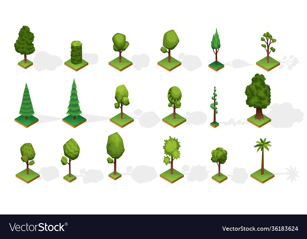 Collection isometric trees with shadow various