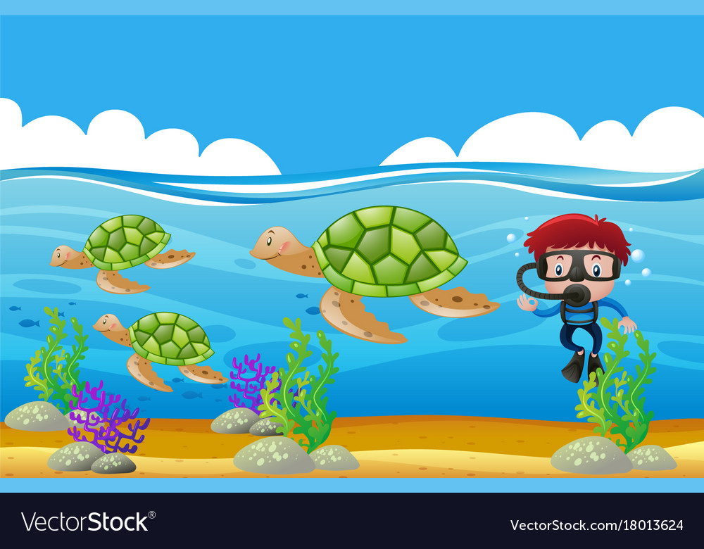 Scuba diver diving underwater with turtles Vector Image